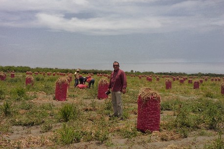 Agricultural