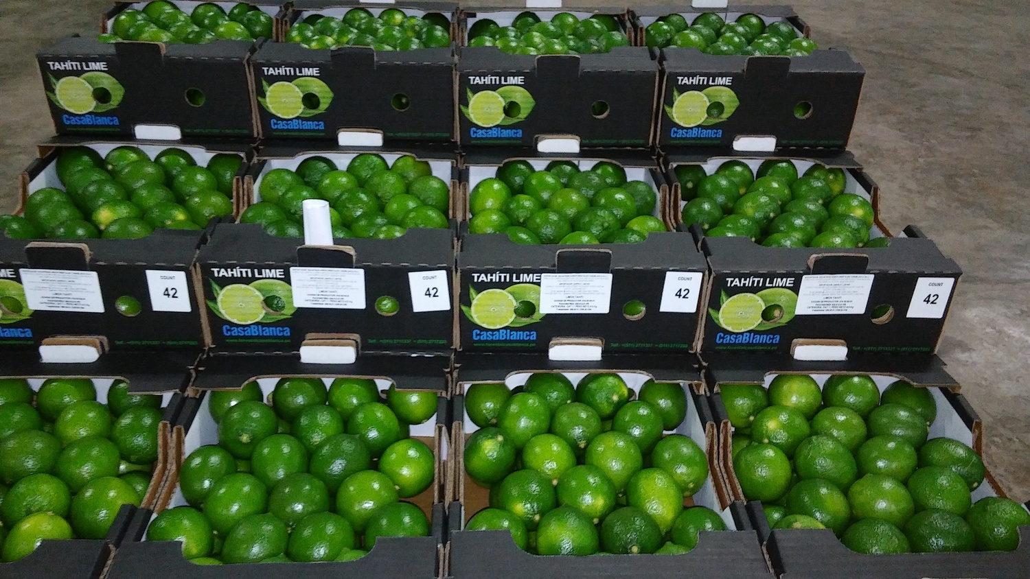 Limón Tahití o Persa